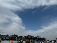 -武清南湖绿博园