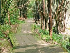 -凤栖山