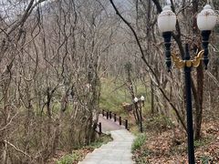 -句容茅山景区