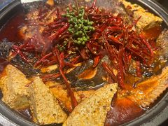 -辣尚瘾·烤鱼·新川菜(交大直营店)