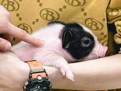 -大悦城(沈阳中街店)