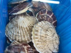 -喝丢一只鞋海鲜烧烤·海肠捞饭(文体街店)