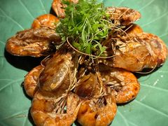 -桂满陇·海市蜃楼·黑金(国金店)