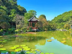 -云溪植物园