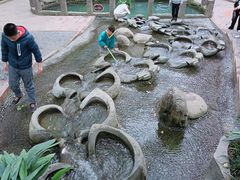 -成都市活水公园