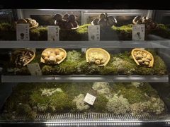 -滇野云南野生菌餐厅(陕西南路店)