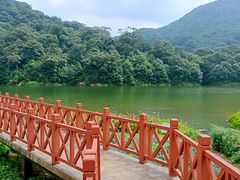 -广州市石门国家森林公园