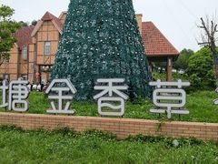 -大塘金香草谷