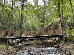 -云岫谷游猎自然风景区