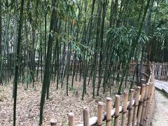 -乌镇东栅景区