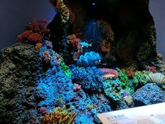 -中国湿地博物馆