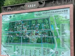 -黄海国家森林公园