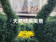 -青岛海滨风景区
