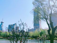 -新虹桥中心花园