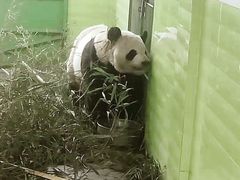 -石家庄市动物园