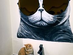 -喵匠猫主题咖啡(凯德和平广场店)