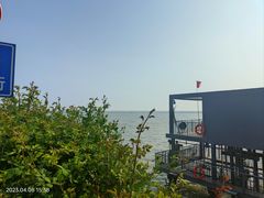 -贡湖湾湿地公园