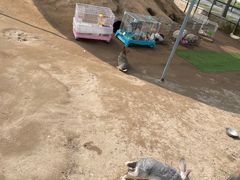 -前小桔亲子创意农场·草莓采摘·露营烧烤