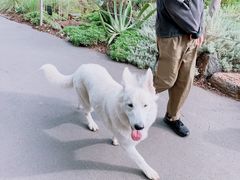 -墨尔本皇家植物园