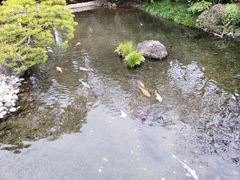 -水前寺成趣园