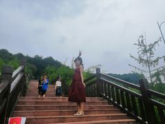 -铁山坪森林公园