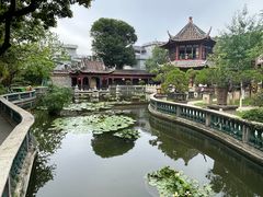 -碧江金楼