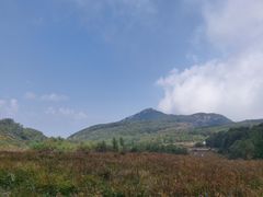 -白草畔自然风景区