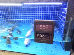 -徐记海鲜(梅溪新天地店)