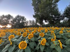 -长白岛森林公园