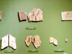 -遇见博物馆(遇见海洋沉浸式奇幻光影展)
