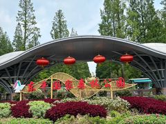 -东平国家森林公园
