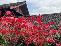 -峨眉山报国寺