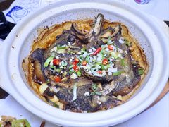 -小海丁