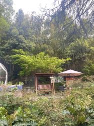 -尚圣月子会所·庄园式月子中心(萧山湘湖店)