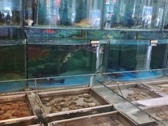 水产区-紫丁香饭店-中餐厅