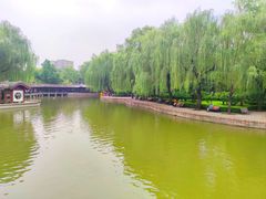 -团结湖公园