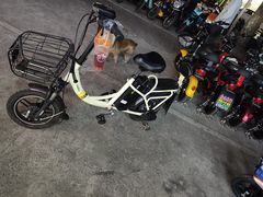 -雅迪电动车(北艾路店)