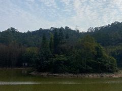 -滴水岩森林公园