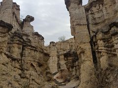 -元谋土林景区(物茂土林)