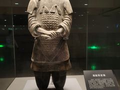 -秦始皇帝陵博物院-丽山园