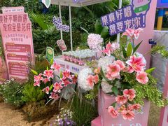 -广州长隆欢乐世界