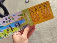 -西双版纳原始森林公园