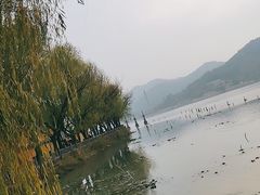 -鸣鹤古镇