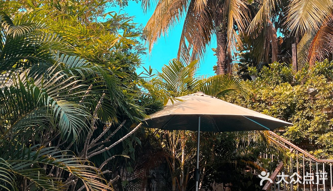 三亚旅游｜人均100入住超ins椰林🌴 