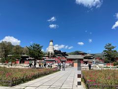 -五台山风景名胜区