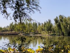 -东郊湿地公园