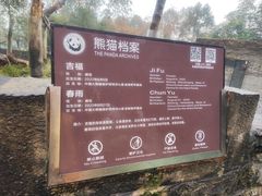 -都江堰中华大熊猫苑