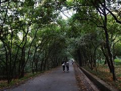 -灵谷景区