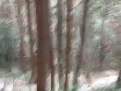 -龙湾潭国家森林公园