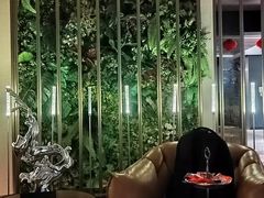 -康道天地(达邦协作广场店)